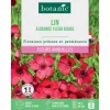 Graines de fleurs Lin à grande fleur rouge botanic®