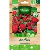 Graines de fraisier des bois bio Vilmorin - graines à semer