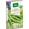 Graines de fève d'Aguadulce Vilmorin - graines à semer