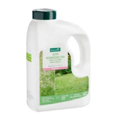 Graines de gazon à semer de regarnissage pour rénovation botanic® - 1 kg