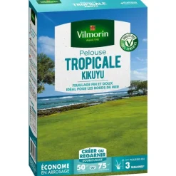 Graines de gazon à semer pelouse tropicale kikuyu Vilmorin - 500 g