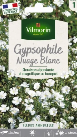 Graines de Gypsophile Nuage blanc Vilmorin - graines à semer