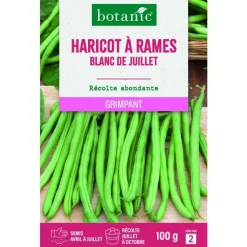 Graines de haricot à rames blanc de juillet mangetout botanic® - graines à semer