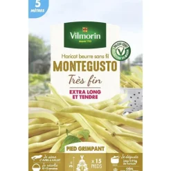 Graines de haricot beurre sans fil Montegusto très fin Vilmorin - graines à semer