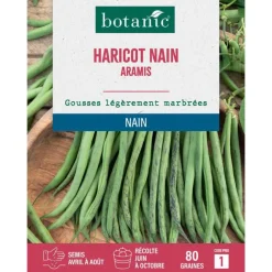 Graines de haricot nain aramis extra-fin sans fil botanic® - 80 graines à semer