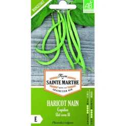 Graines de haricot nain cupidon bio Ferme de Sainte Marthe - graines à semer