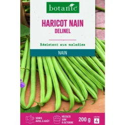 Graines de haricot nain delinel extra-fin sans fil botanic® - graines à semer 200 g