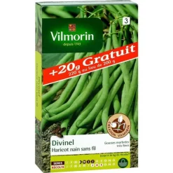 Graines de haricot nain divinel Vilmorin - graines à semer