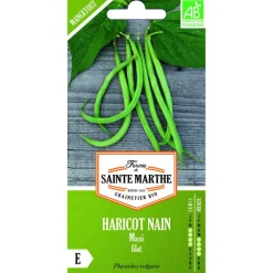 Graines de haricot nain maxi bio Ferme de Sainte Marthe - graines à semer