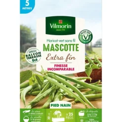 Graines de haricot nain Mascotte Vilmorin x 5 mètres - graines à semer
