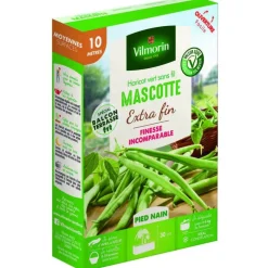 Graines de haricot nain Mascotte Vilmorin - graines à semer