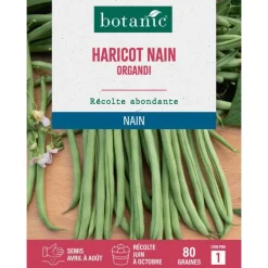 Graines de haricot nain organdi extra-fin sans fil botanic® - graines à semer