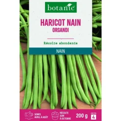 Graines de haricot nain organdi extra-fin sans fil botanic® - graines à semer 200 g