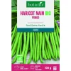 Graines de haricot nain pongo extra-fin sans fil botanic® - graines à semer