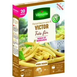 Graines de haricot nain Victor Vilmorin - graines à semer