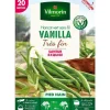 Graines de haricot nain Vanilla Vilmorin - graines à semer