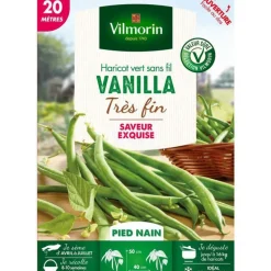 Graines de haricot nain Vanilla Vilmorin - graines à semer