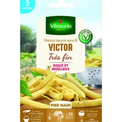 Graines de haricot nain Victor Vilmorin 5 mètres - graines à semer