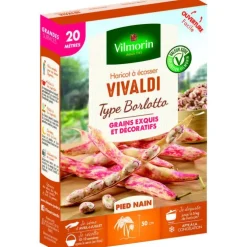 Graines de haricot nain Vivaldi Vilmorin - graines à semer