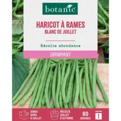 Graines de haricot rames blanc de Juillet à rames botanic® - graines à semer