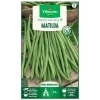 Graines de Haricot vert grimpant Matilda Vilmorin - graines à semer