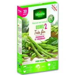 Graines de haricot vert Oxinel 2 très fin Vilmorin - graines à semer