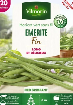 Graines de Haricot vert sans fil Emerite fin Vilmorin - graines à semer