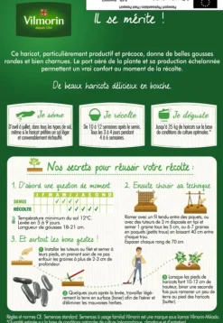 Graines de Haricot vert sans fil Emerite fin Vilmorin - graines à semer