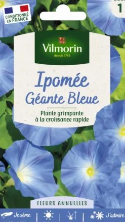 Graines de Ipomée Géante Bleue Vilmorin - graines à semer