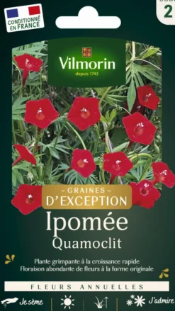 Graines de Ipomée Quamoclit Vilmorin graines d’exception - graines à semer