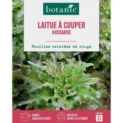 Graines de laitue à couper hussarde botanic® - graines à semer