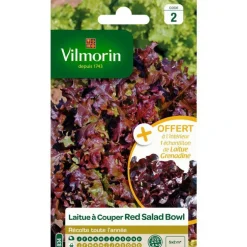 Graines de laitue à couper red salad bowl Vilmorin - graines à semer