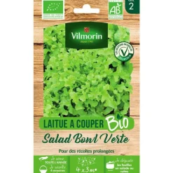 Graines de laitue à couper salad bowl bio Vilmorin - graines à semer