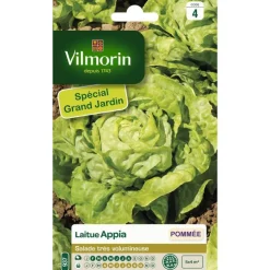Graines de laitue Appia Vilmorin - graines à semer
