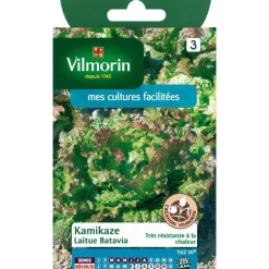 Graines de laitue batavia kamikaz Vilmorin - graines à semer
