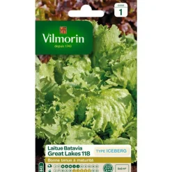 Graines de laitue batavia great lakes118 type iceberg Vilmorin - graines à semer