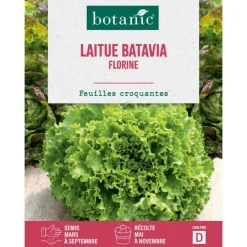 Graines de laitue batavia florine botanic® - graines à semer