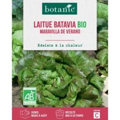 Graines de laitue batavia merveille de Vérone bio botanic® - graines à semer