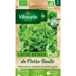 Graines de laitue batavia de Pierre Bénite bio Vilmorin - graines à semer