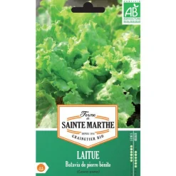 Graines de Laitue Batavia de pierre bénite bio Ferme de Sainte Marthe - 500 graines à semer
