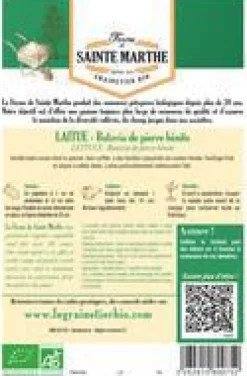 Graines de Laitue Batavia de pierre bénite bio Ferme de Sainte Marthe - 500 graines à semer