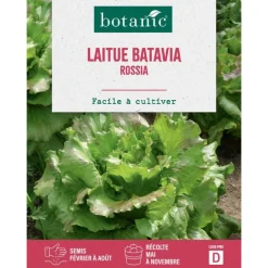 Graines de laitue batavia rossia botanic® - graines batavia semer