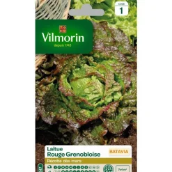 Graines de Laitue Batavia rouge grenobloise Vilmorin - graines à semer