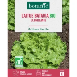 Graines de laitue batavia la brillante bio botanic® - graines batavia semer
