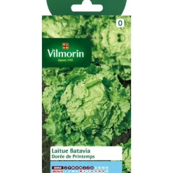 Graines de laitue batavia à dorée printemps Vilmorin - graines à semer