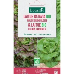 Graines de laitue bio bat. rouge grenobl. bio + bon jardinier botanic® - graines bio semer