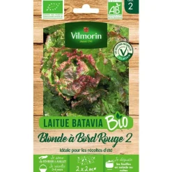 Graines de laitue blonde à bord rouge 2 bio Vilmorin - graines à semer