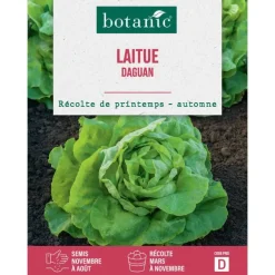 Graines de laitue d'Aguan botanic® - graines à semer