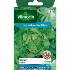 Graines de laitue divina Vilmorin - graines à semer