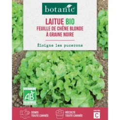 Graines de laitue feuille de chêne blonde à graine noire bio botanic® - graines feuille semer